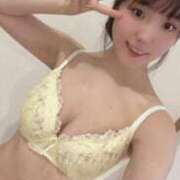 ヒメ日記 2025/04/17 09:02 投稿 姫（ひめ） NOA（ノア）