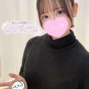 ヒメ日記 2025/02/01 01:30 投稿 もか 横浜シンデレラ（シンデレラグループ）