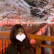 ヒメ日記 2025/04/11 15:40 投稿 もか 横浜シンデレラ（シンデレラグループ）