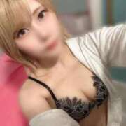 ヒメ日記 2025/12/29 09:38 投稿 つばさ 若葉