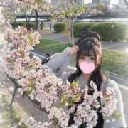 ヒメ日記 2025/04/11 20:33 投稿 えま SCREEN(スクリーン)