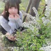 ヒメ日記 2025/04/12 10:33 投稿 えま SCREEN(スクリーン)