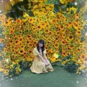 ヒメ日記 2025/09/19 13:39 投稿 えま SCREEN(スクリーン)