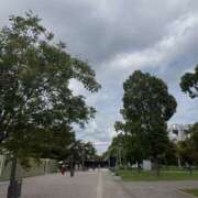 ヒメ日記 2025/09/30 14:16 投稿 あかり ラッシュアワー