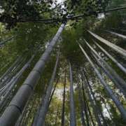 ヒメ日記 2024/12/11 10:50 投稿 有村かずは 神戸ホットポイント