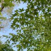 ヒメ日記 2025/05/10 10:12 投稿 有村かずは 神戸ホットポイント