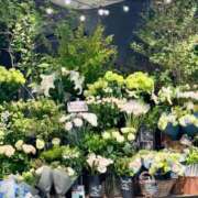 ヒメ日記 2025/06/04 23:15 投稿 有村かずは 神戸ホットポイント