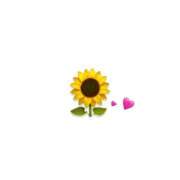 ヒメ日記 2025/07/25 12:45 投稿 有村かずは 神戸ホットポイント