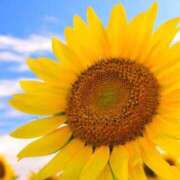 ゆう ごめんなさい…。 ちゃんこ長野塩尻北IC店