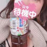 ヒメ日記 2024/12/31 14:59 投稿 まどか 白いぽっちゃりさん