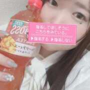 ヒメ日記 2025/04/19 18:37 投稿 まどか 白いぽっちゃりさん