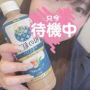 ヒメ日記 2025/05/06 15:42 投稿 まどか 白いぽっちゃりさん