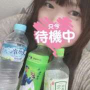 ヒメ日記 2025/08/03 18:32 投稿 まどか 白いぽっちゃりさん