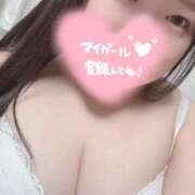 ヒメ日記 2025/11/23 12:52 投稿 まどか 白いぽっちゃりさん