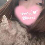 ヒメ日記 2026/04/11 23:38 投稿 まどか 白いぽっちゃりさん