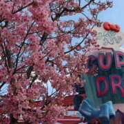 ヒメ日記 2025/04/12 19:05 投稿 ゆい 奥鉄オクテツ東京店（デリヘル市場）