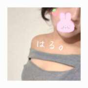 はる こんばんは。 ロディオ