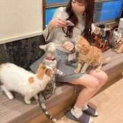 ヒメ日記 2025/02/06 15:44 投稿 YU GINGIRA☆TOKYO～ギンギラ東京～