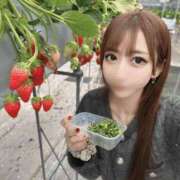 ヒメ日記 2025/03/12 12:31 投稿 YU GINGIRA☆TOKYO～ギンギラ東京～