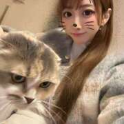 ヒメ日記 2025/04/07 13:20 投稿 YU GINGIRA☆TOKYO～ギンギラ東京～