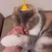 ヒメ日記 2025/09/02 01:16 投稿 YU GINGIRA☆TOKYO～ギンギラ東京～