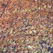 ヒメ日記 2025/12/09 14:28 投稿 YU GINGIRA☆TOKYO～ギンギラ東京～