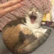 ヒメ日記 2025/12/23 06:24 投稿 YU GINGIRA☆TOKYO～ギンギラ東京～