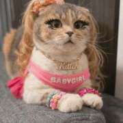 ヒメ日記 2025/12/31 14:19 投稿 YU GINGIRA☆TOKYO～ギンギラ東京～