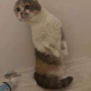 ヒメ日記 2026/01/03 17:44 投稿 YU GINGIRA☆TOKYO～ギンギラ東京～