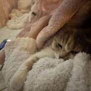 ヒメ日記 2026/01/05 00:23 投稿 YU GINGIRA☆TOKYO～ギンギラ東京～