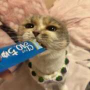 ヒメ日記 2026/03/15 18:18 投稿 YU GINGIRA☆TOKYO～ギンギラ東京～