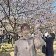 ヒメ日記 2026/03/31 06:46 投稿 YU GINGIRA☆TOKYO～ギンギラ東京～