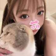ヒメ日記 2026/06/08 12:44 投稿 YU GINGIRA☆TOKYO～ギンギラ東京～