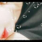 ヒメ日記 2025/07/23 09:17 投稿 米倉 栞(しおり) 東京ローズマリー