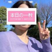 ヒメ日記 2025/03/08 00:29 投稿 菊田 鶯谷デッドボール