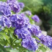 ヒメ日記 2025/06/07 21:39 投稿 菊田 鶯谷デッドボール