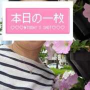 ヒメ日記 2025/06/17 11:09 投稿 菊田 鶯谷デッドボール