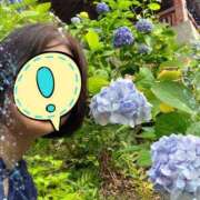 ヒメ日記 2026/06/17 14:19 投稿 菊田 鶯谷デッドボール