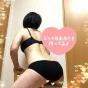 ヒメ日記 2026/09/07 22:34 投稿 菊田 鶯谷デッドボール