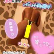 ヒメ日記 2024/12/09 08:41 投稿 ぎゃる 日暮里・西日暮里サンキュー