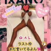 ヒメ日記 2024/12/14 21:56 投稿 ぎゃる 日暮里・西日暮里サンキュー