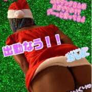 ヒメ日記 2024/12/21 17:45 投稿 ぎゃる 日暮里・西日暮里サンキュー