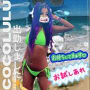 ヒメ日記 2025/01/10 13:51 投稿 ぎゃる 日暮里・西日暮里サンキュー