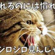 ヒメ日記 2025/01/28 20:43 投稿 ぎゃる 日暮里・西日暮里サンキュー