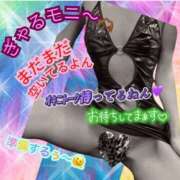 ヒメ日記 2025/01/30 09:21 投稿 ぎゃる 日暮里・西日暮里サンキュー