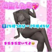 ヒメ日記 2025/01/30 14:21 投稿 ぎゃる 日暮里・西日暮里サンキュー