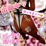 ヒメ日記 2025/02/14 12:22 投稿 ぎゃる 日暮里・西日暮里サンキュー