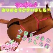 ヒメ日記 2025/02/19 04:41 投稿 ぎゃる 日暮里・西日暮里サンキュー