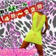 ヒメ日記 2025/02/25 11:11 投稿 ぎゃる 日暮里・西日暮里サンキュー