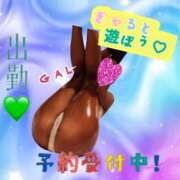 ヒメ日記 2025/02/25 14:21 投稿 ぎゃる 日暮里・西日暮里サンキュー